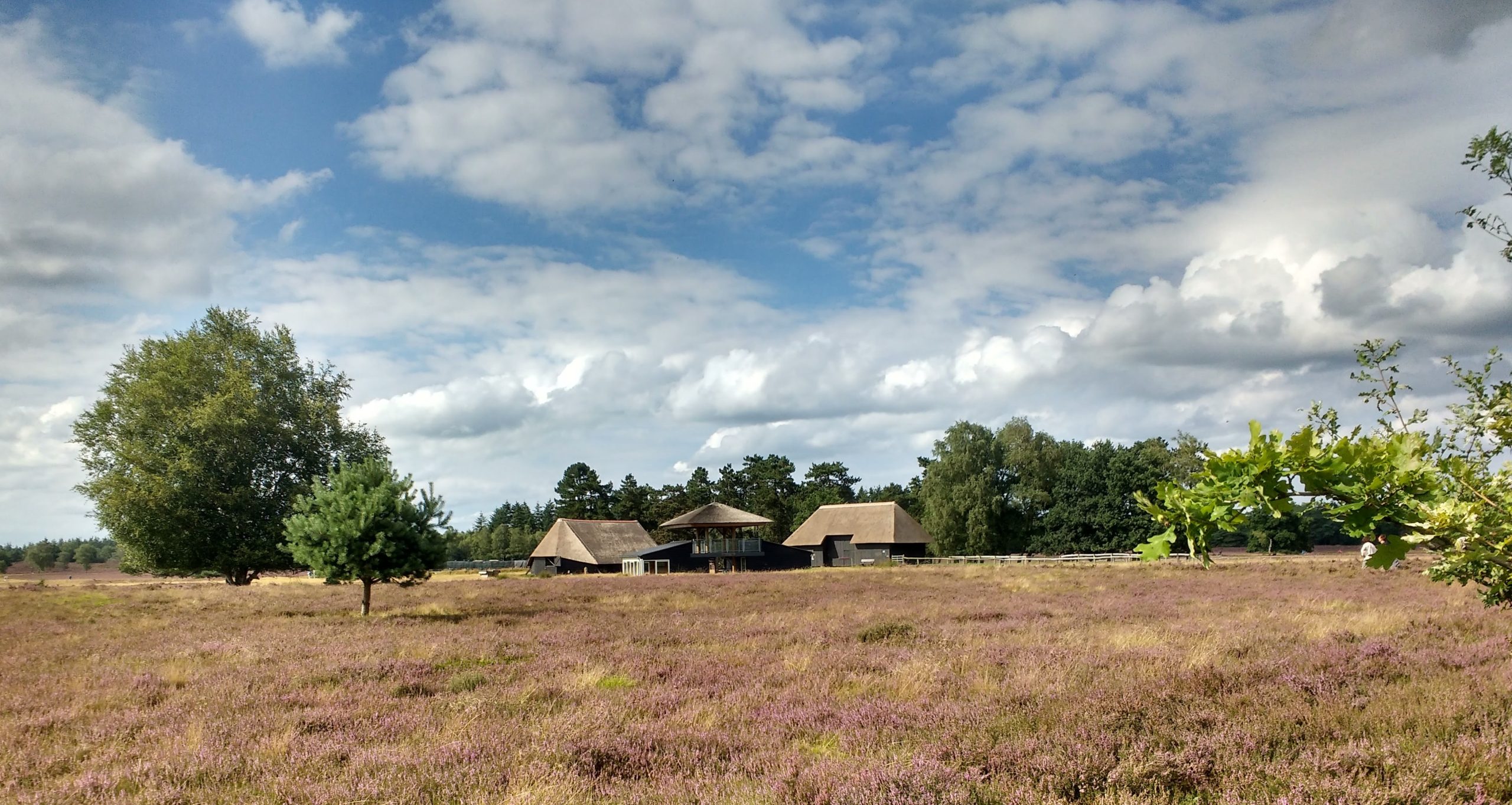 Kom 26 juni naar de Renderklippen
