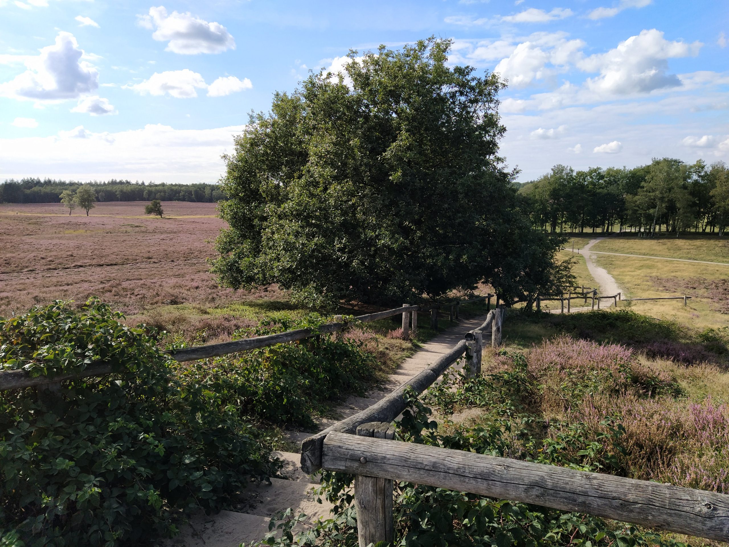 Doe mee met KNNV Epe-Heerde