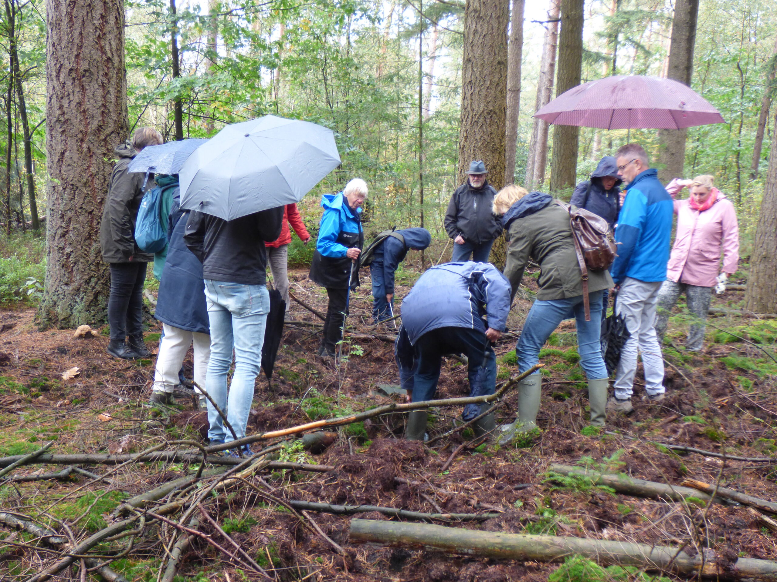Leuke publieksexcursie paddenstoelen