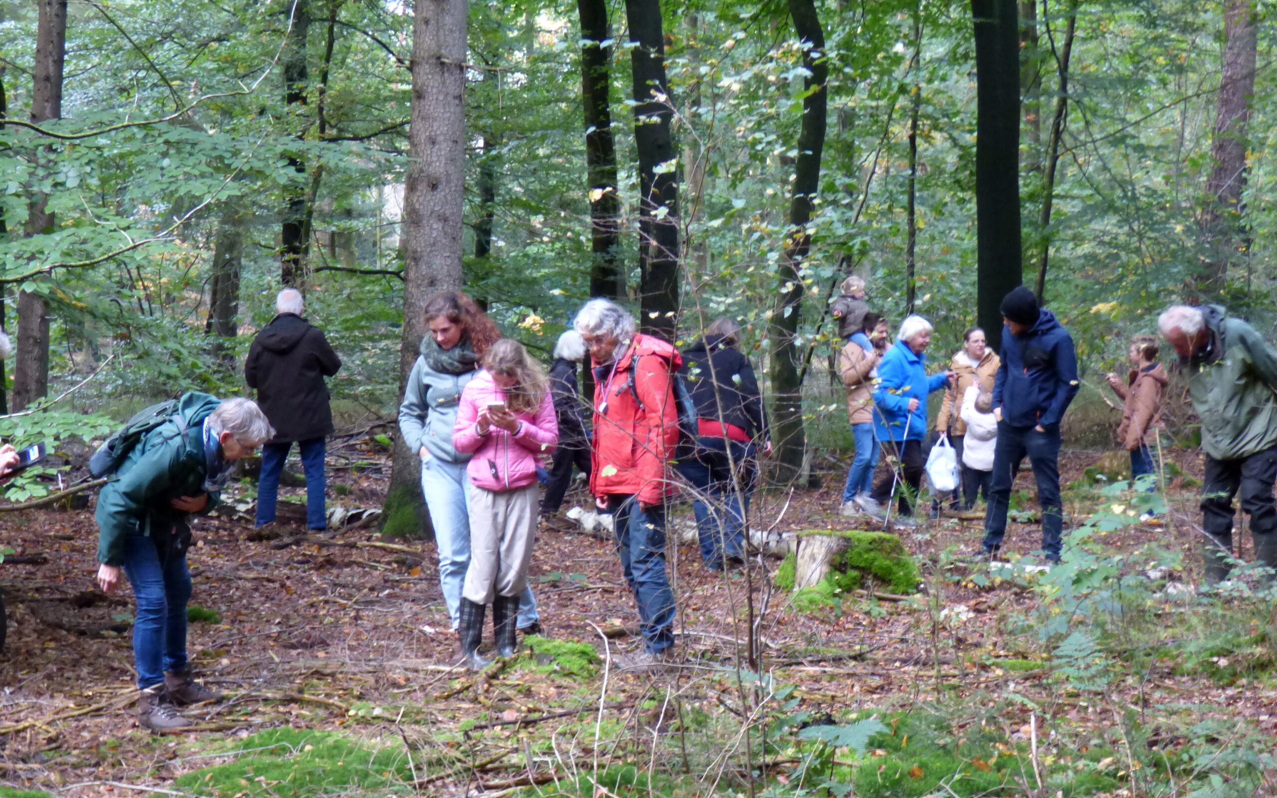 Leuke publieksexcursie paddenstoelen